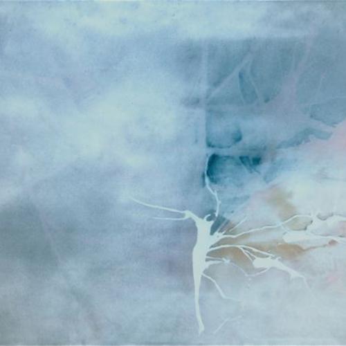 Poumon blanc, huile sur toile, 60 x 80 cm