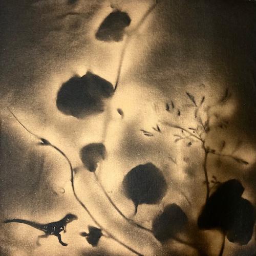 Bombe dorée sur toile noire, 40 x 40 cm