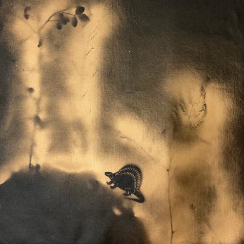 Bombe dorée sur toile noire, 40 x 40 cm