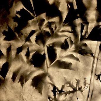 Bombe dorée sur toile noire, 120 x 160 cm