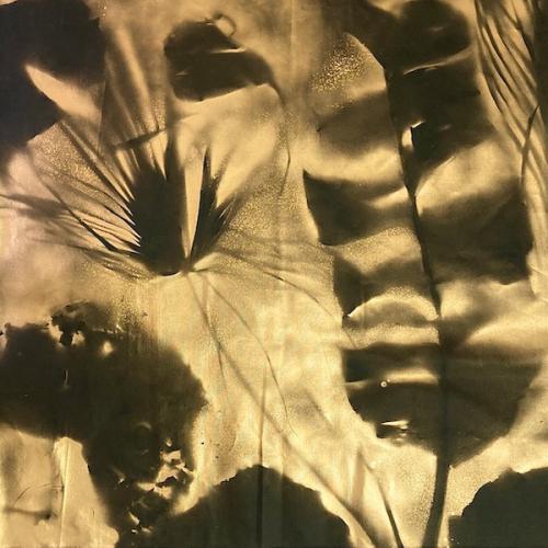 Bombe dorée sur toile noire, 120 x 120 cm